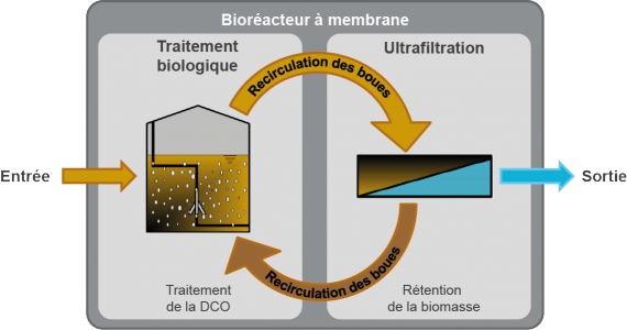 Bioréacteur à membrane